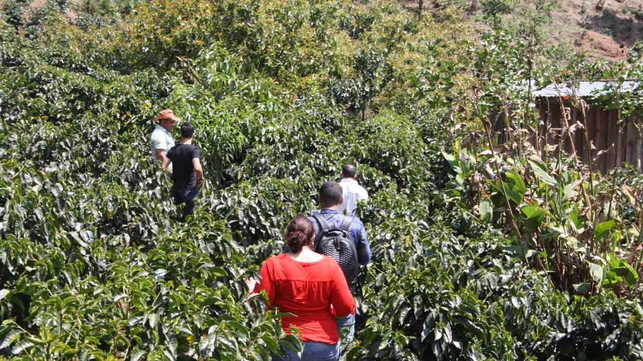 Was sind Single Origin Espressobohnen und was macht sie so besonders?